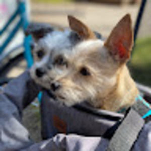 Meet your Posher, Heather